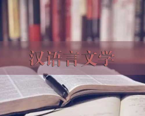 汉语言文学（自学考试）