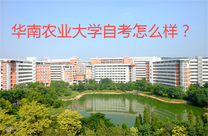 华南农业大学自考怎么样？.png