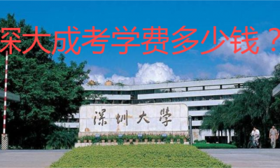深大成考学费多少钱？