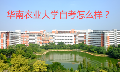 华农自考怎么样？