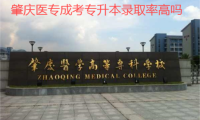 肇庆医专成考专升本录取率高吗